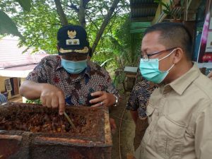 Kadishut Sumbar Dukung Pengembangan Madu Lebah Trigona Sawahlunto