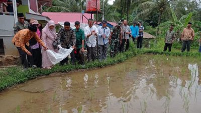 Nevi Zuairina Serahkan Bibit Ikan untuk Kelompok Perikanan di Kecamatan Situjuah Limo Nagari