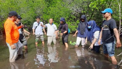 Rangkaian HUT ke-52, DPD ASITA Sumbar Tanam Mangrove di Pulau Kapo Kapo Kawasan Mandeh